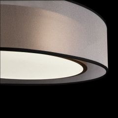 Накладной светильник Freya Zoticus FR6005CL-L36G | фото 4