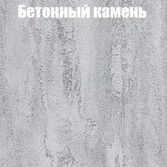 Шкаф-купе Бассо 1.0 (Дуб Крафт серый/Бетонный камень) 2 двери ЛДСП 1 зеркальная вставка | фото 3