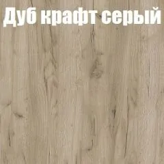 Шкаф-купе Бассо 1.0 (Дуб Крафт серый/Бетонный камень) 2 двери ЛДСП 1 зеркальная вставка | фото 4