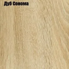 Шкаф-купе Лофт 2400 Шк24-60 (Дуб Сонома) | фото 4