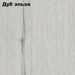 Прихожая ДИАНА-4 сек №6 (Ясень анкор/Дуб эльза) | фото 2