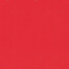 Стул ученический регулируемый по высоте "Лицей" (ЛцО.СРкЛ_5-7-т28/32 + ЛцО.ССМ 5.7-16) | фото 2